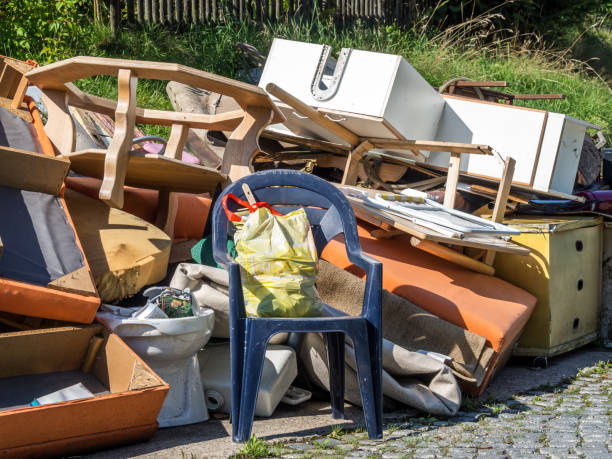 Best Furniture Removal Near Me  in La Plata, NM