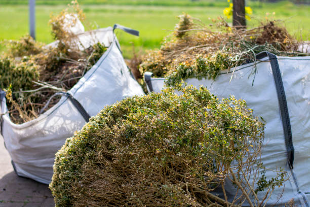 Trusted La Plata, NM Junk Removal Experts